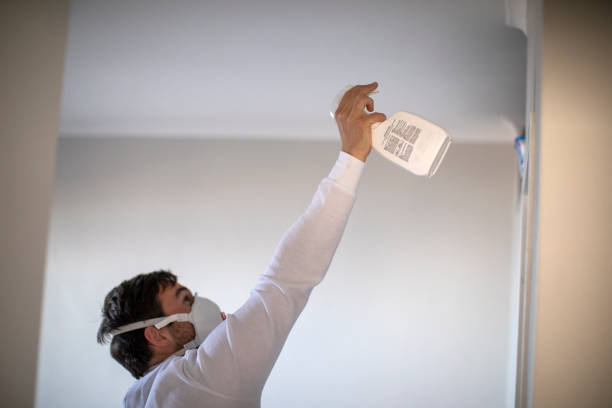 Best Commercial Mold Remediation in Highland Springs, VA