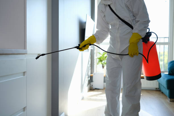 Best Mold Testing and Inspection Services in Highland Springs, VA