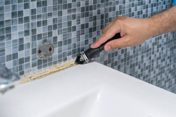 Best Black Mold Remediation in Highland Springs, VA