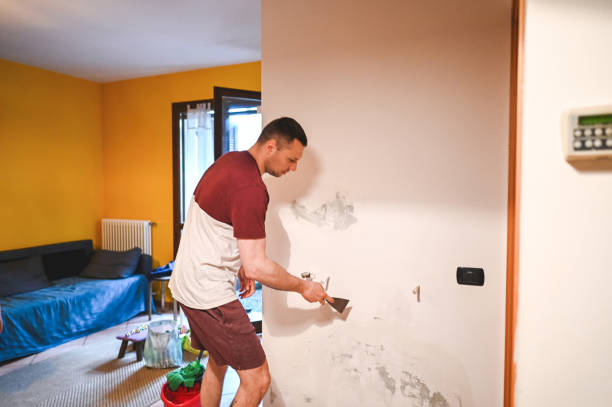 Best Attic Mold Remediation in Highland Springs, VA