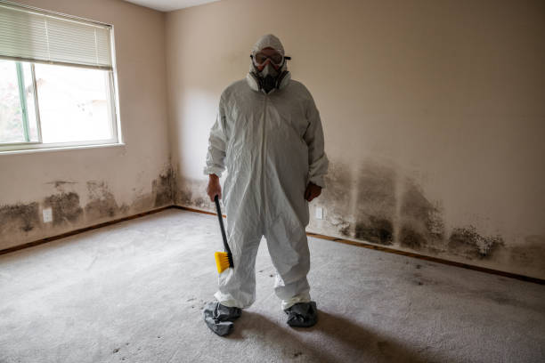 Best Kitchen Mold Remediation in Highland Springs, VA